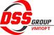 DSS Group Импорт